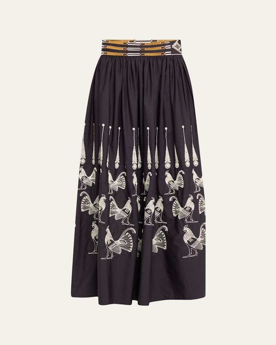 Ombretta Embroidered A-Line Maxi Skirt